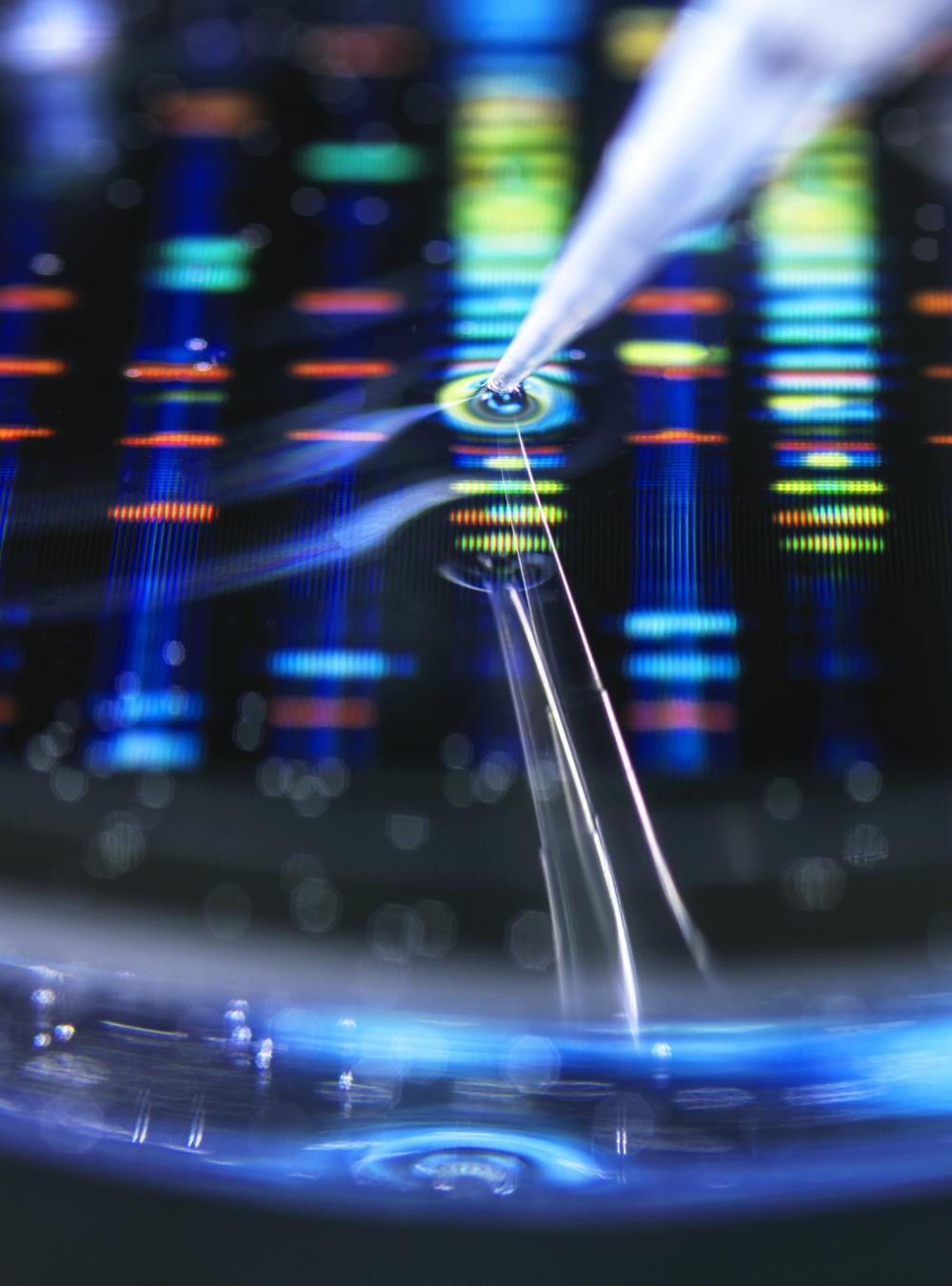 Pipette adding a sample to a petri dish with a DNA (deoxyribonucleic acid) profile in the background.