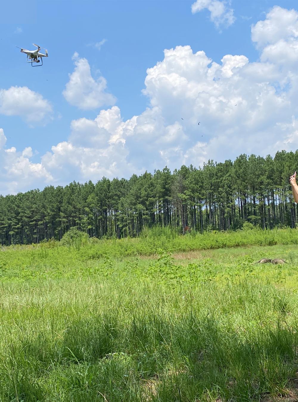 Woman flying a drone in a field