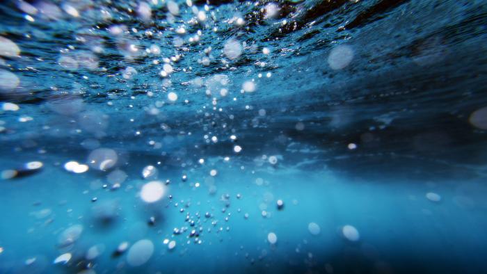 View from underwater in the ocean