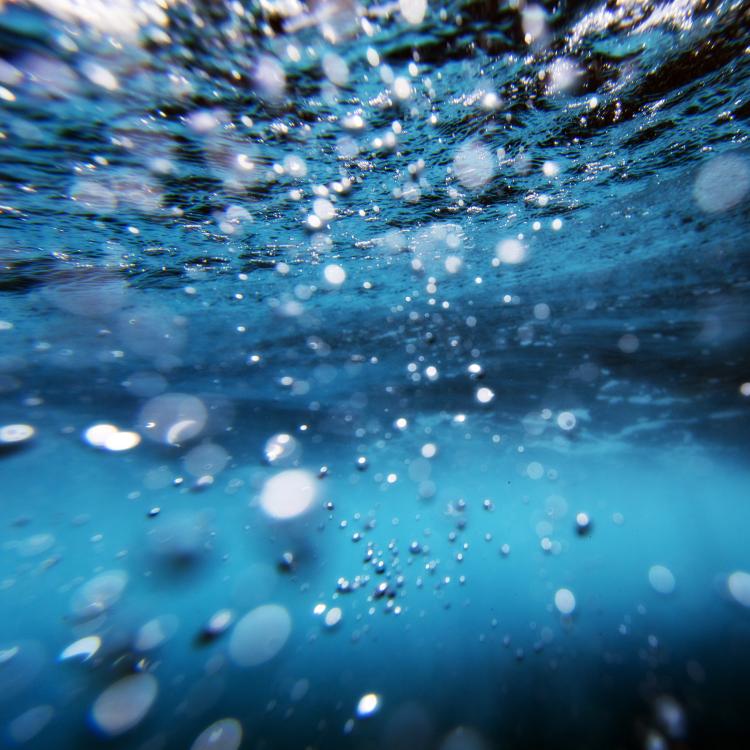 View from underwater in the ocean